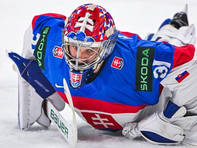 Slovensko, hokej, reprezentácia, Samuel Hlavaj
